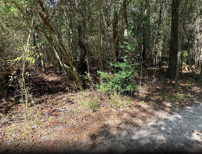 Image of Arborgrove Ln