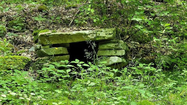 Image of 175 Close Hollow Rd