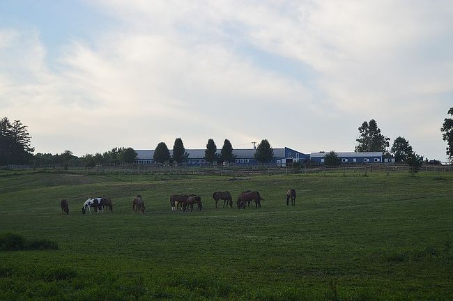 Preview of property located at 13427 Hilltop Farm Rd