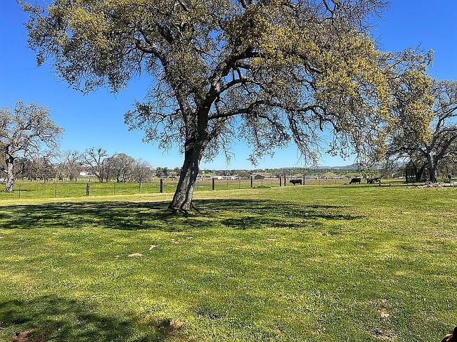 Image of 10348 Milton Rd