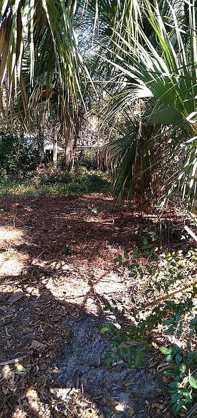 Image of 505 Sw 258th St