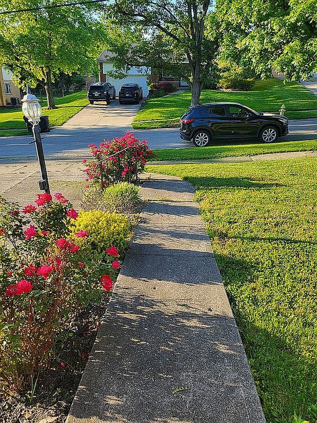 Image of 3863 Malaer Dr
