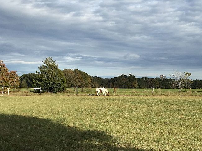 Photo of 16551 County Road 498, Lindale, TX