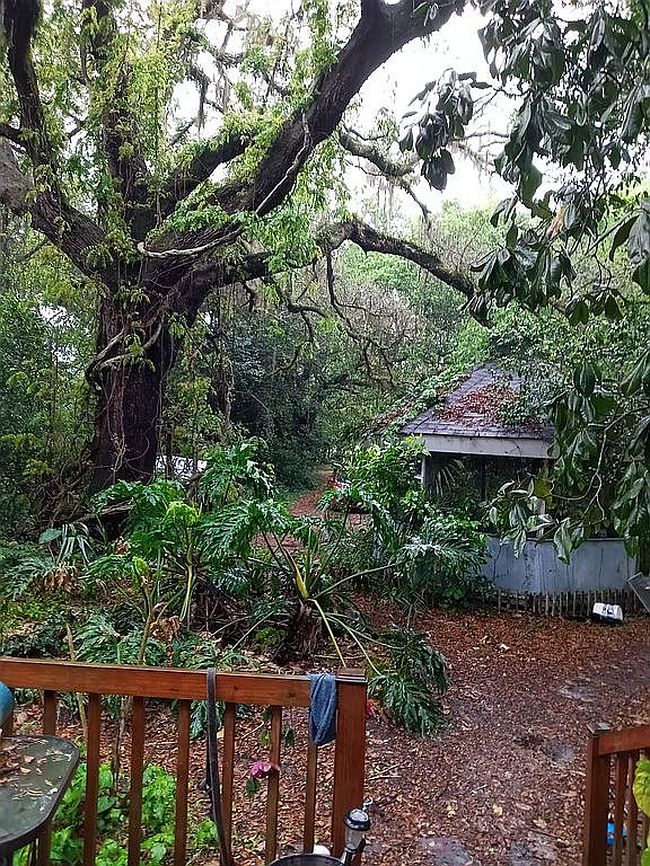 Image of 22695 Ne 130th Court Rd