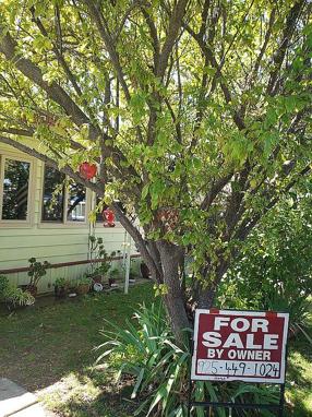Image of 1742 W Harbor Dr