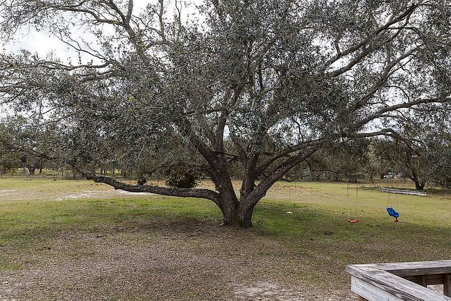 Image of 9080 Ogleby Creek Rd