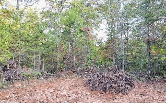 Photo of 0 Cook Henry rd. Morganton, Morganton, GA
