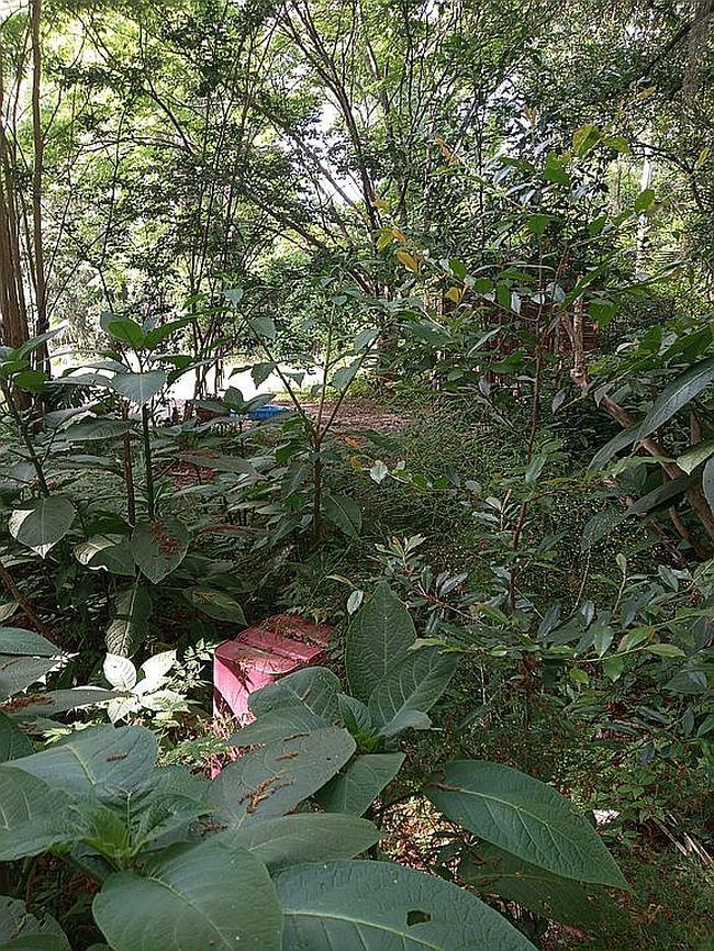 Image of 22695 Ne 130th Court Rd