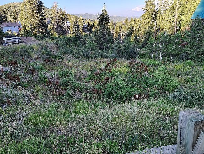 Photo of 229 Parkview Dr, Park City, UT