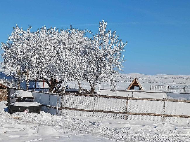 Photo of 945 Grays Creek Rd, Indian Valley, ID