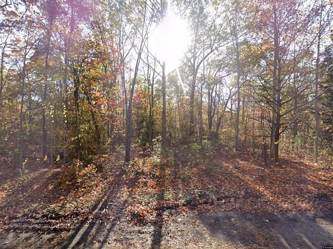 Photo of 314 Fulling Mill Rd