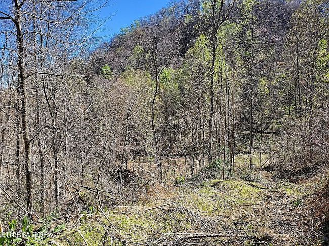 Image of 7044 Caney Valley Rd