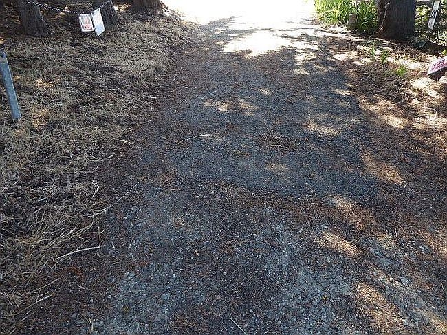 Photo of 1520 Navarro Bluff Rd, Albion, CA