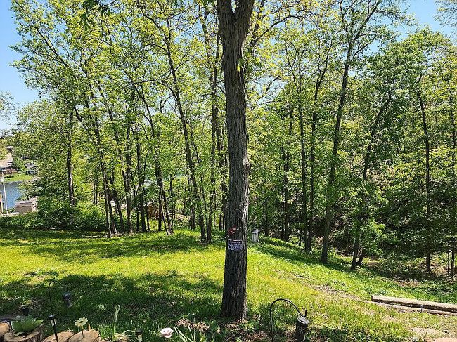 Image of 1170 E Ridge Dr