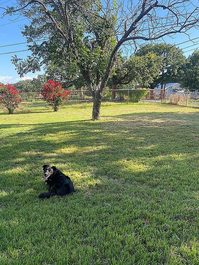 Photo of 3704 County Road 801, Cleburne, TX