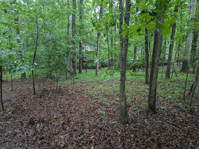Image of 9903 Black Horse Run Rd