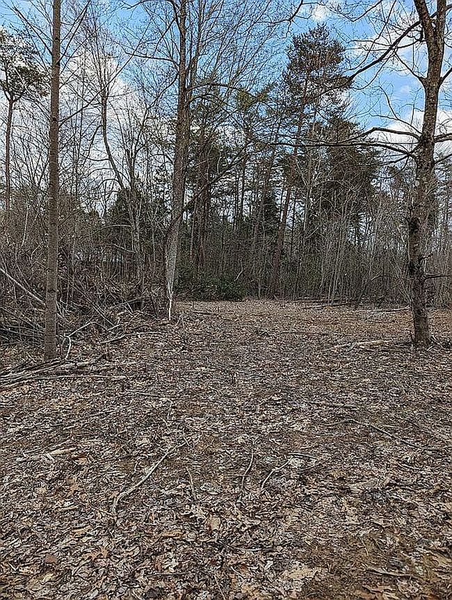 Image of 452 Eagle Point Loop