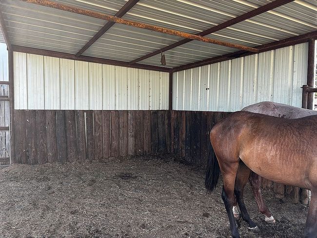 Photo of 13147 Us Highway 281, Windthorst, TX