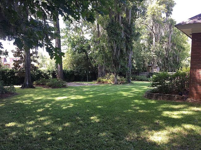 Image of 8128 Mossy Oak Dr