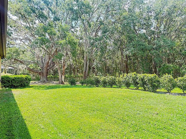 Image of 19246 Briarbrook Dr