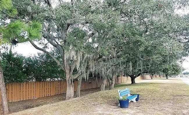Image of 3503 Tiki Dr