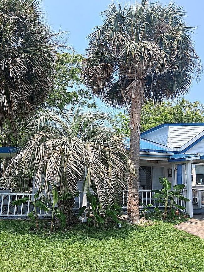 Image of 319 Old Causeway Rd