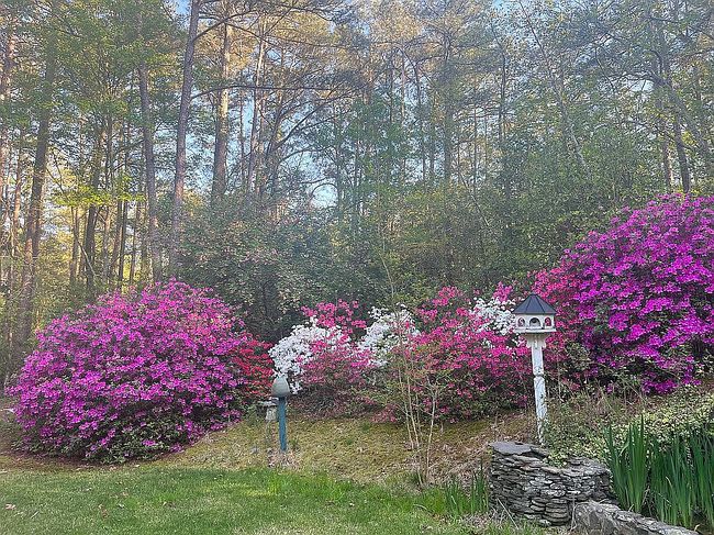 Photo of 200 Strathmore St, Southern Pines, NC