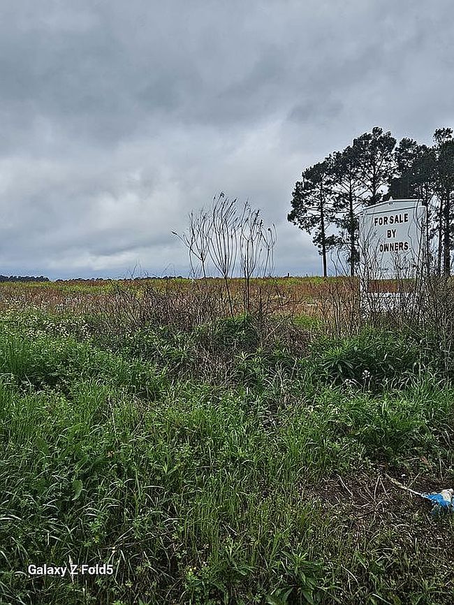 Image of 4296 Adel Hwy Lot 2