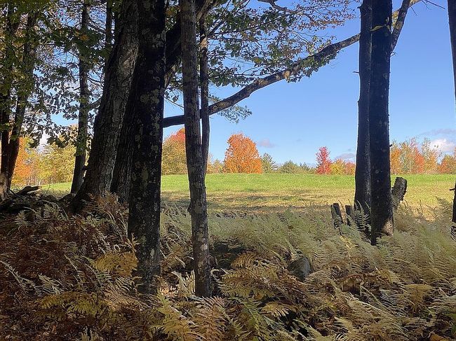 Photo of 0 French Meadow Rd, Springfield, VT