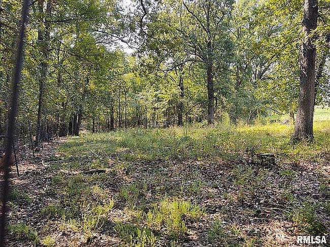 Photo of 470 Washington Ln, New Burnside, IL