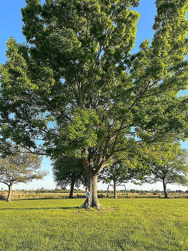 Image of 7128 Lot 27 Shadow Ln