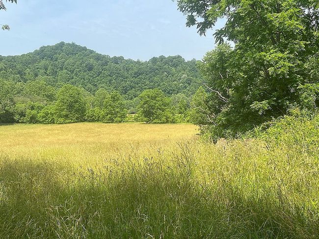 Photo of 10230 Russett Rd, Stumptown, WV