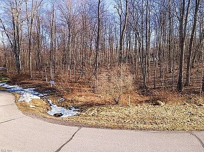 Photo of Lot 19 Sutton Place, Chardon, OH