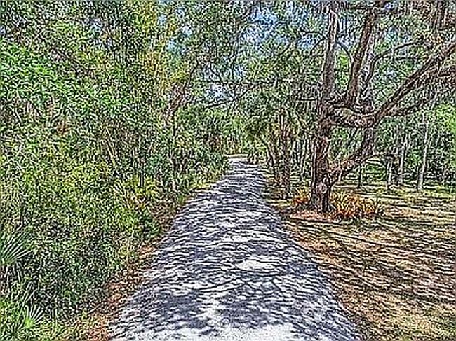 Photo of 13505 Wild Citrus Rd, Sarasota, FL