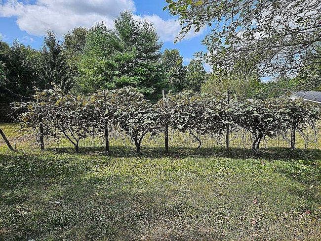 Image of 4475 Rich Creek Rd