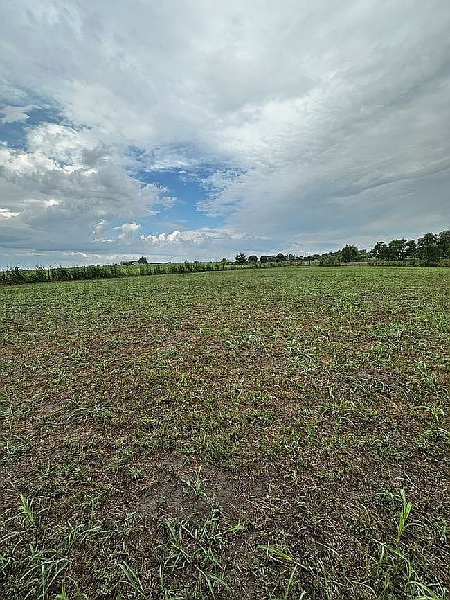 Photo of 4462 Fm 67, Grandview, TX