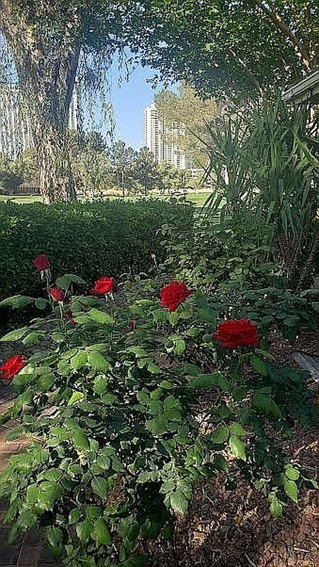 Photo of 632 Tam O Shanter, Las Vegas, NV