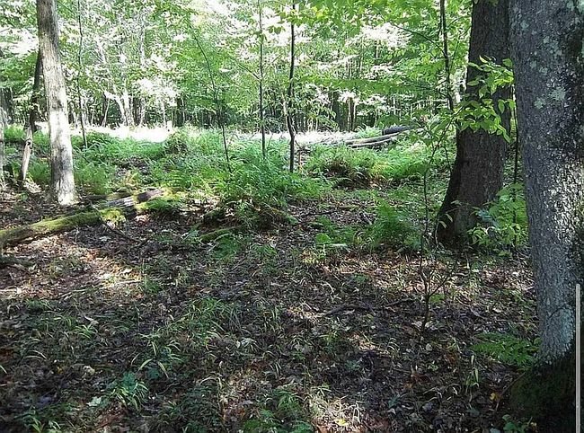 Image of 19 Hemlock Ridge Rd