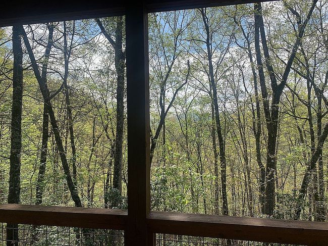 Image of 1788 Younce Creek Rd