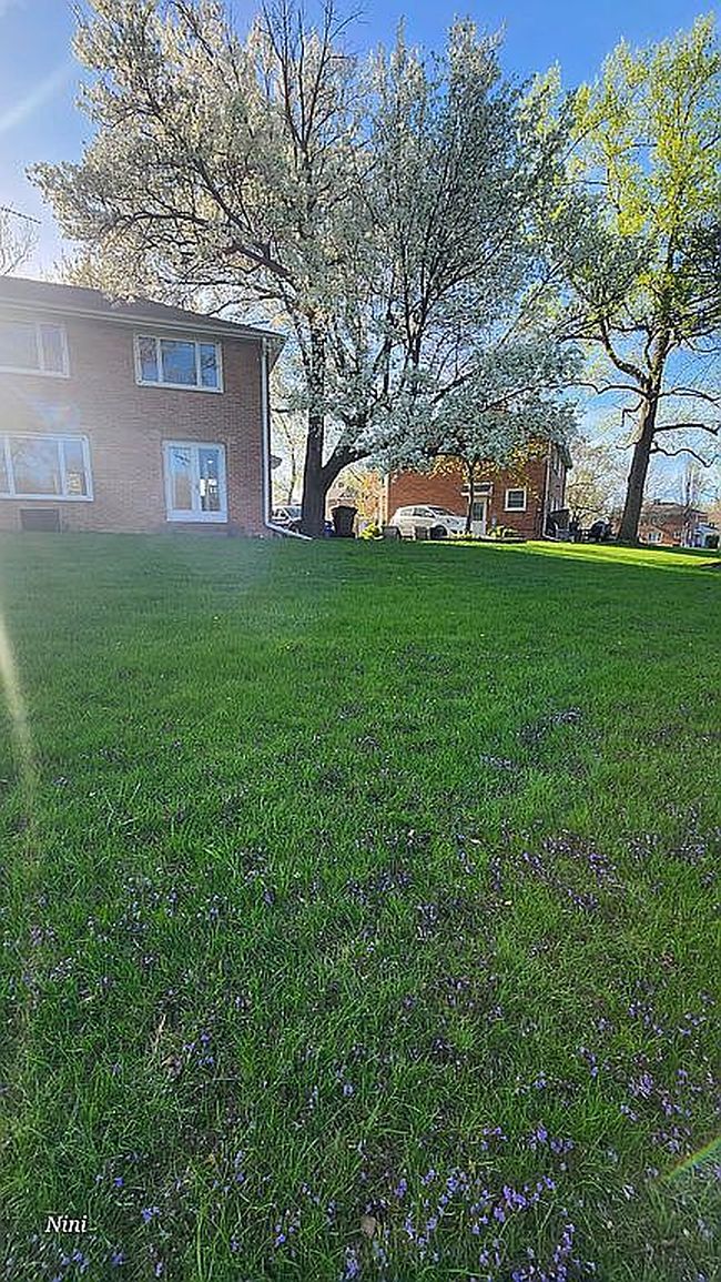 Photo of 37 Choate Rd, Park Forest, IL