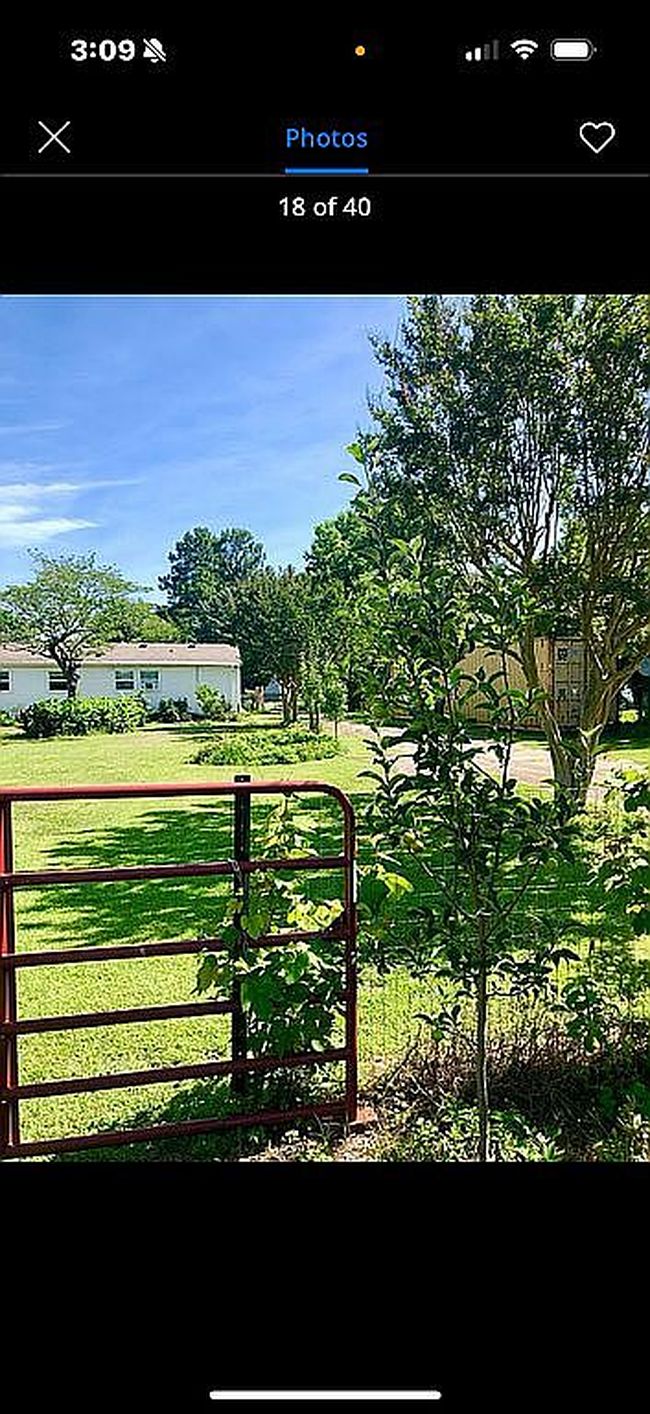 Image of 1036 George Daniels Rd