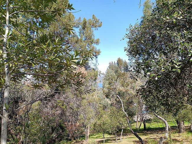 Image of 9960 Point Lakeview Rd