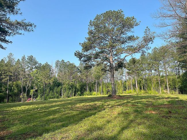 Photo of 4065 Judge Rd, Liberty, MS