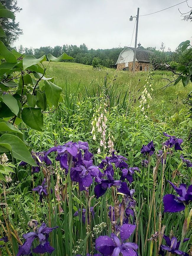 Photo of 2713 E Main St, Whitney Point, NY
