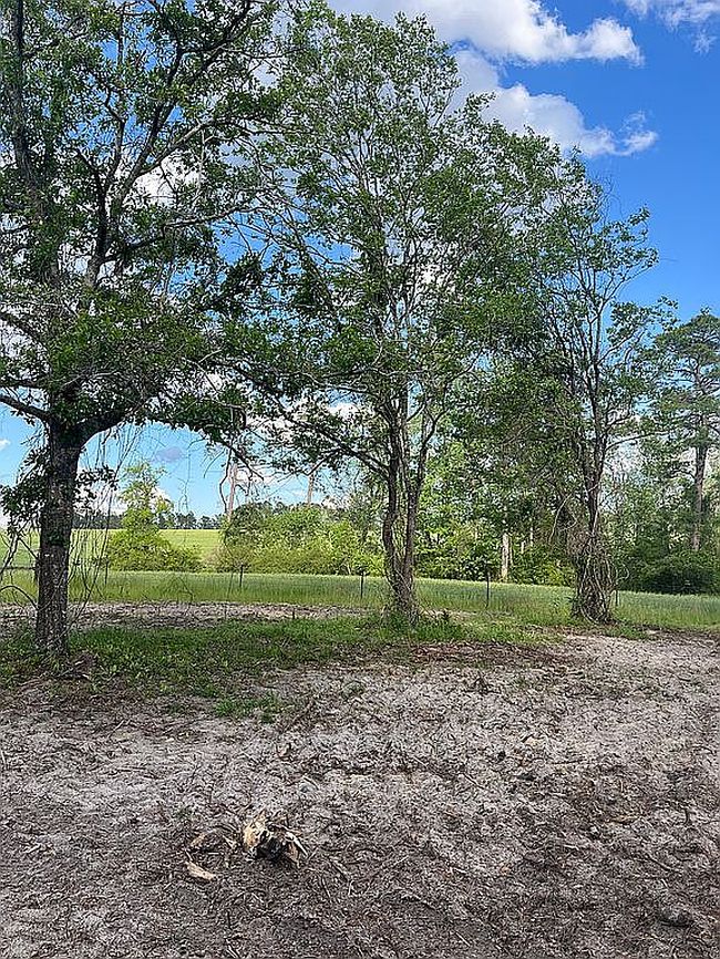 Photo of 0 Hammond Powell Rd, Hazlehurst, GA