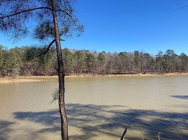 Additional photo 2 of property located at Shoreside At Sipsey 43