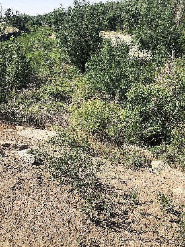Image of 13520 Old Pueblo Rd