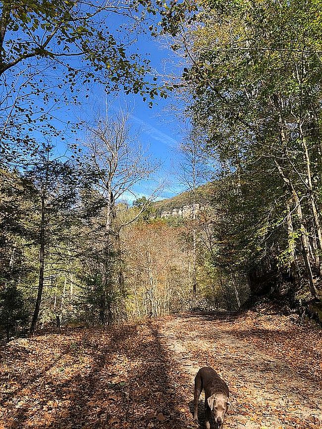 Image of 618 Boyd Rd