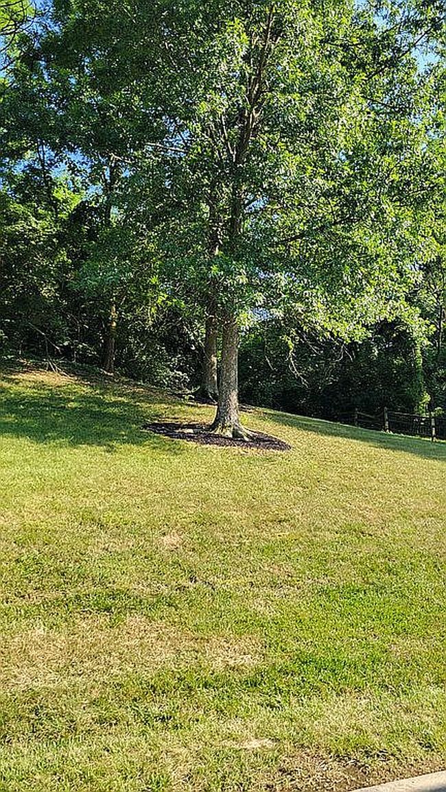 Photo of 410 Millrace Dr, Cold Spring, KY
