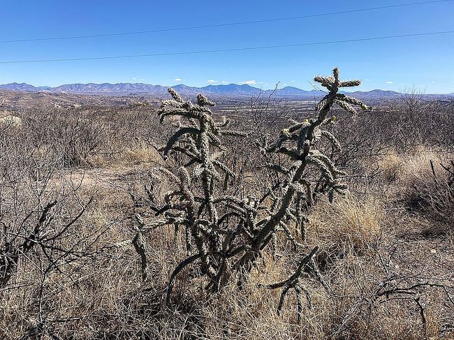 Photo of 502 Camino Hombre De Oro, Rio Rico, AZ
